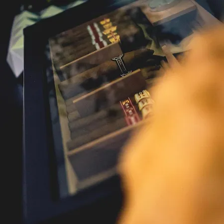 Hotel Cantinho D'avo - Apúlia