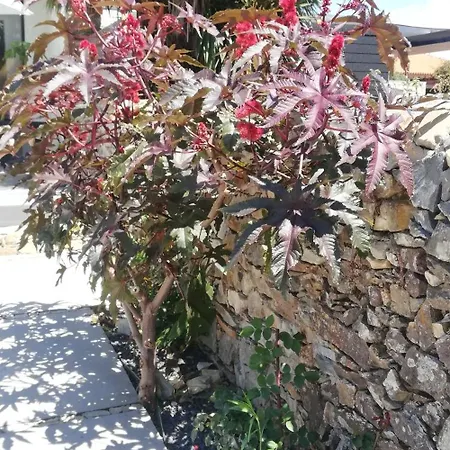 Cantinho D'avo - Apúlia